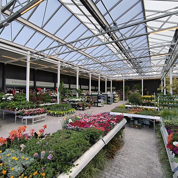 Die Markthalle