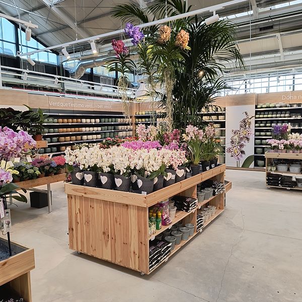 Indoor plants