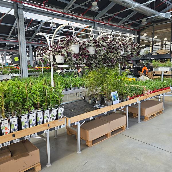 Die Eröffnung - PRAKTIS