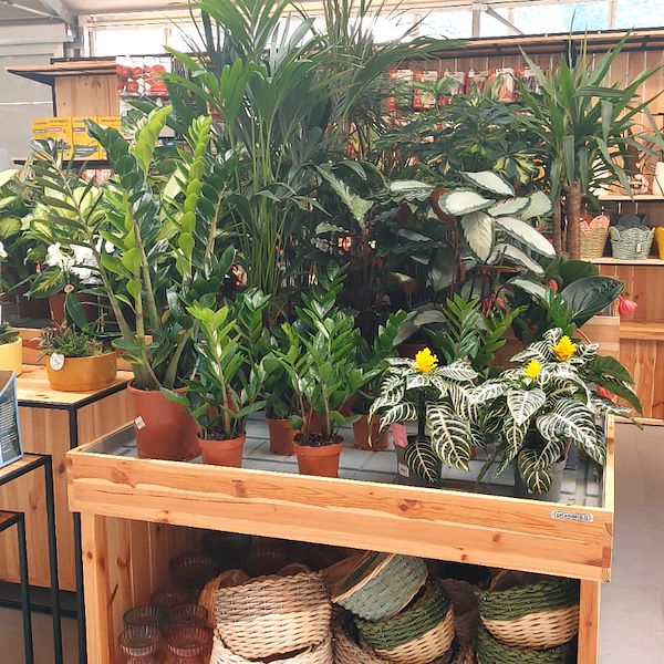 Holzpodest