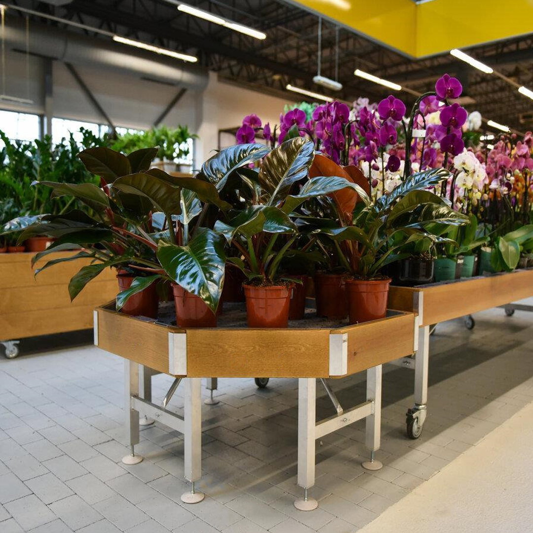 Banc d’extrémité en bois AMOR