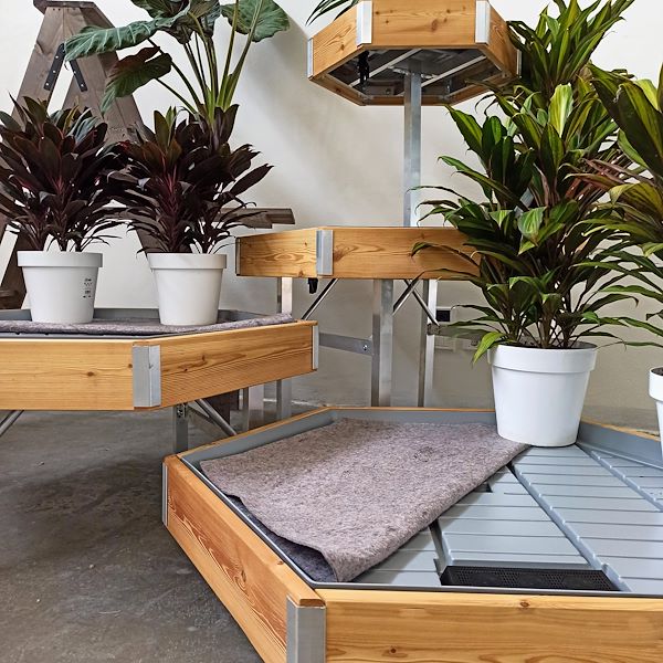 Sechseckiger Holztisch Linie Amor