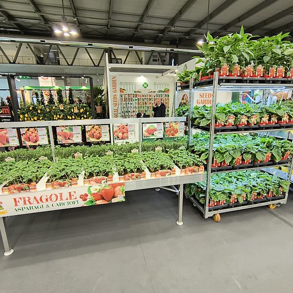 Set für Gemüse- und Gewürzpflanzen