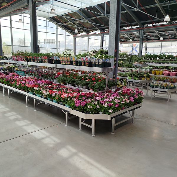 Die Eröffnung - PRAKTIS