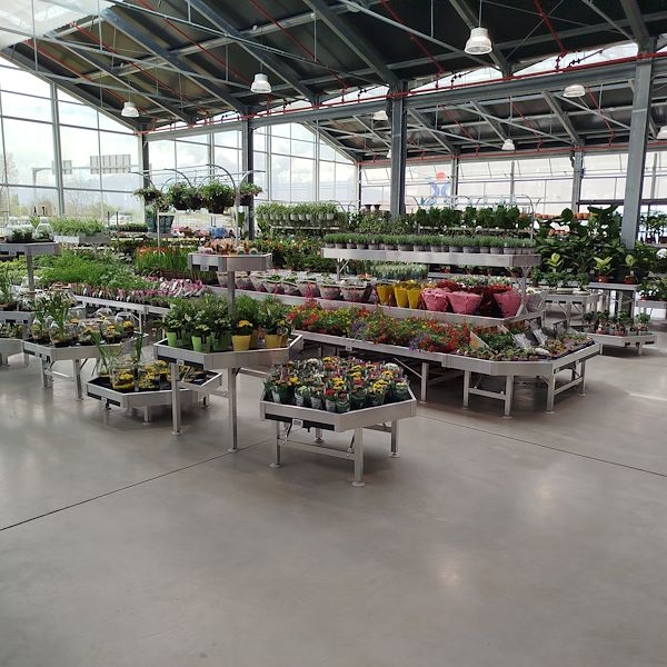 Die Eröffnung - PRAKTIS