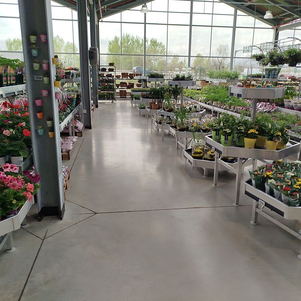 Die Eröffnung - PRAKTIS