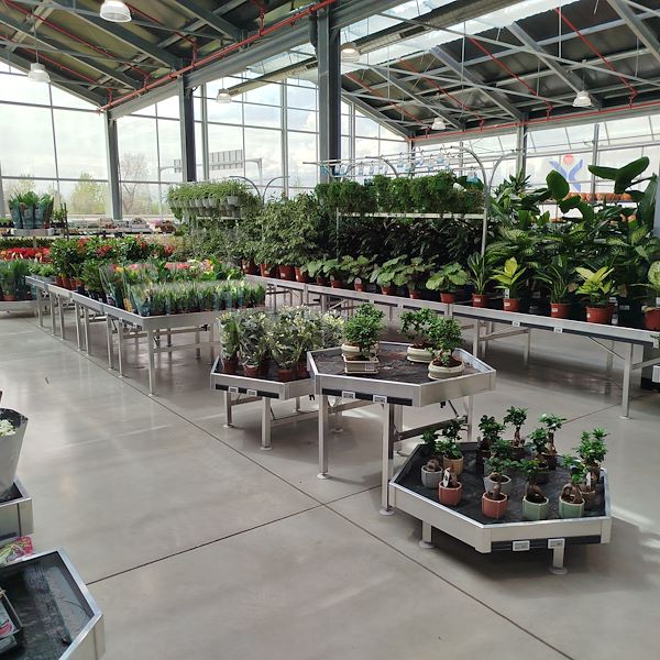 Die Eröffnung - PRAKTIS