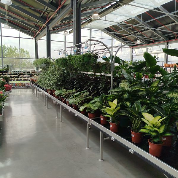 Die Eröffnung - PRAKTIS