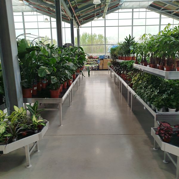 Die Eröffnung - PRAKTIS