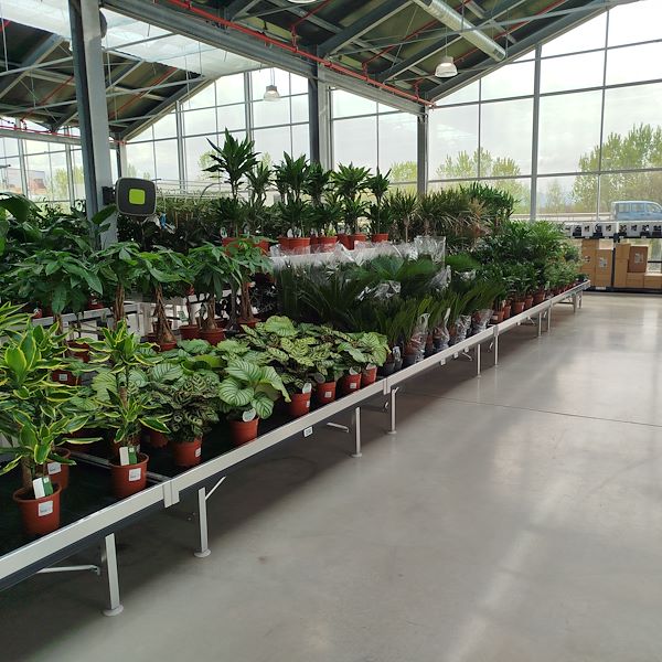 Die Eröffnung - PRAKTIS