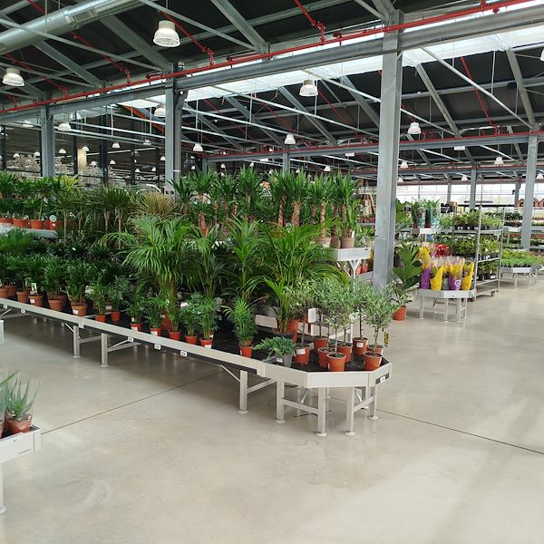 Die Eröffnung - PRAKTIS