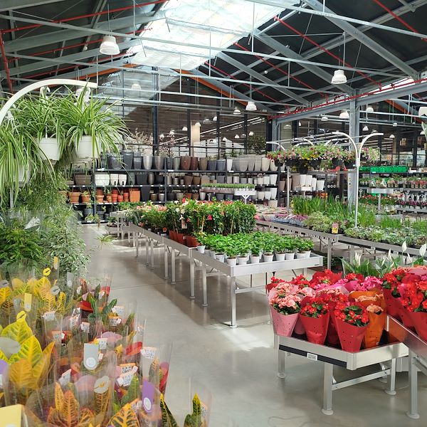 Die Eröffnung - PRAKTIS