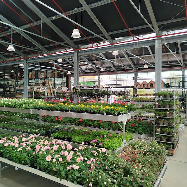 Die Eröffnung - PRAKTIS