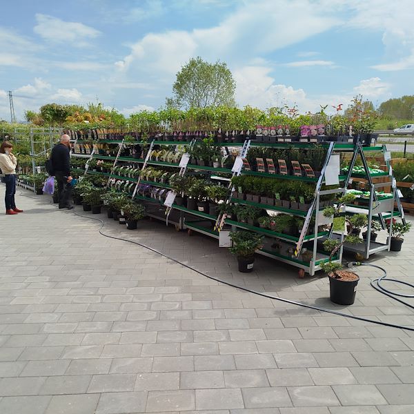 Die Eröffnung - PRAKTIS