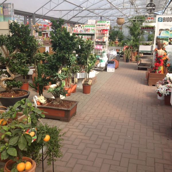 Garden Frediani vor der Neugestaltung