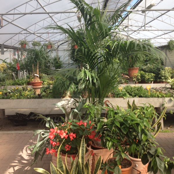 Garden Frediani vor der Neugestaltung