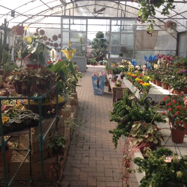 Garden Frediani prima del restyling