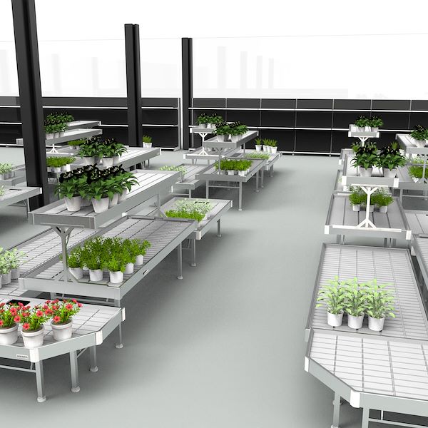 Das Projekt - PRAKTIS