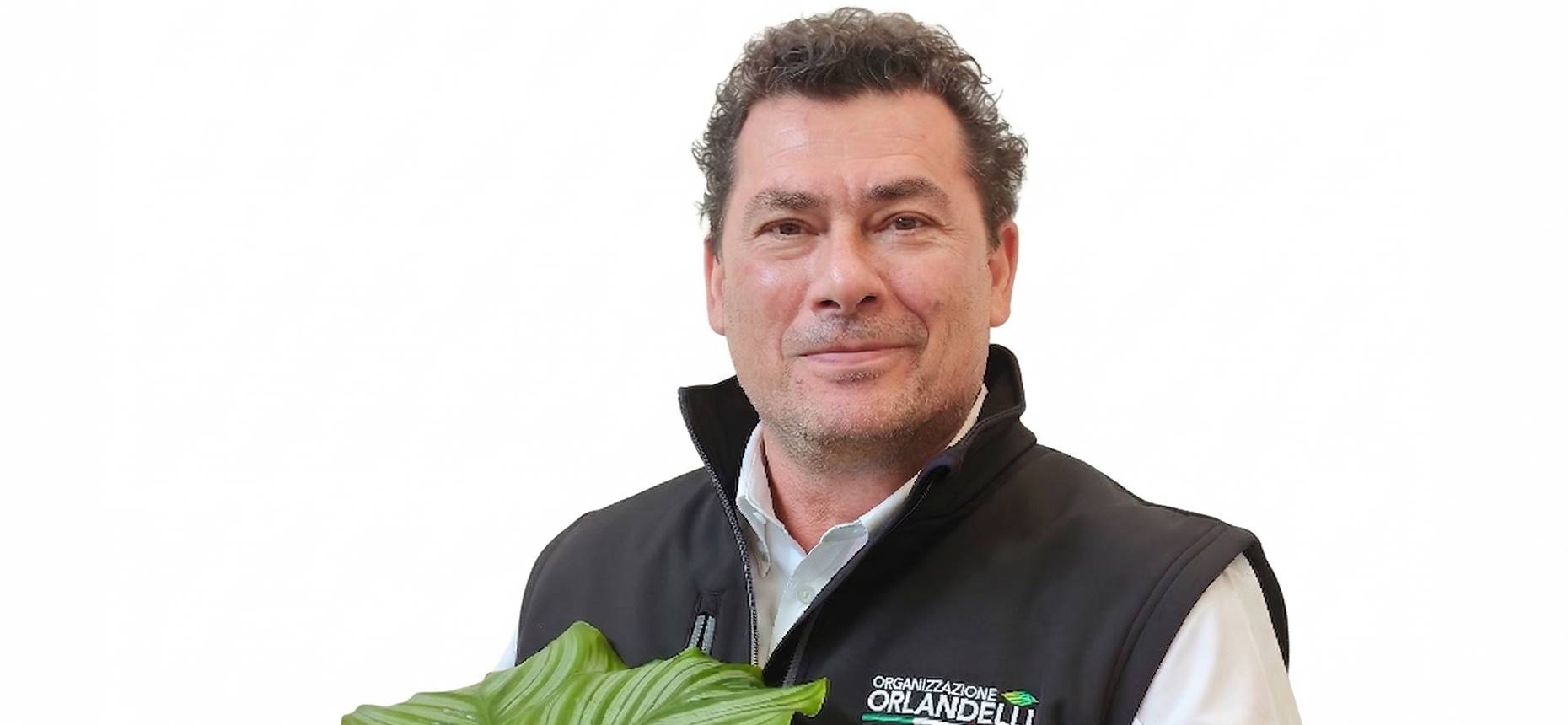 Massimo Ferri