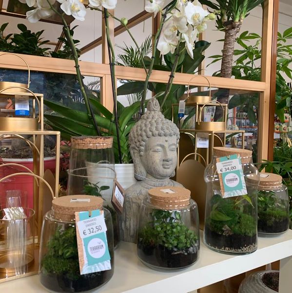 Das neue Konzept Paviotti von Orlandelli