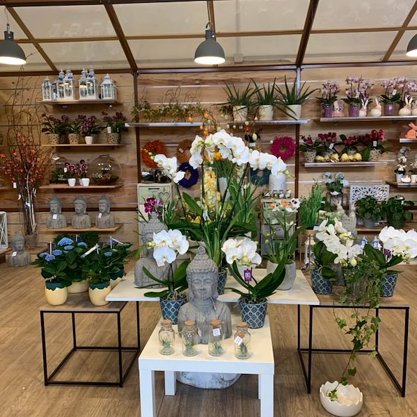 Das neue Konzept Paviotti von Orlandelli