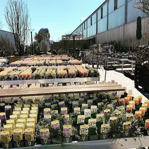 Feste Verkaufstische aus Aluminium zum Zusammenbauen