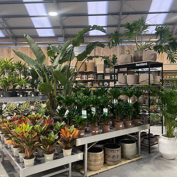 ENDGÜLTIGES ERGEBNIS DES GARTENZENTRUMS OFORNO