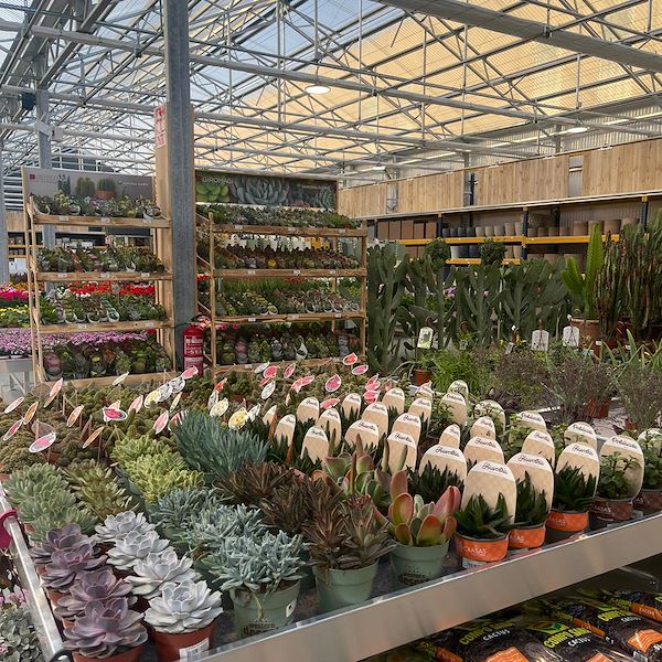 ENDGÜLTIGES ERGEBNIS DES GARTENZENTRUMS OFORNO