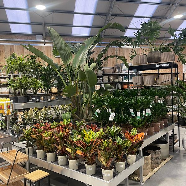 RISULTATO FINALE DEL GARDEN CENTER OFORNO