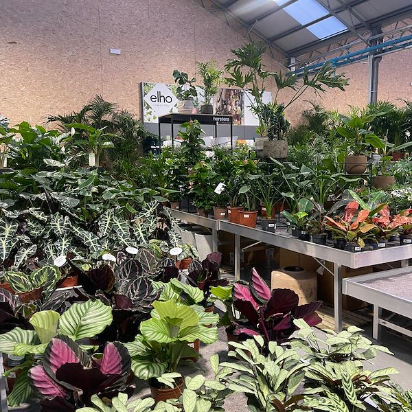 ENDGÜLTIGES ERGEBNIS DES GARTENZENTRUMS OFORNO