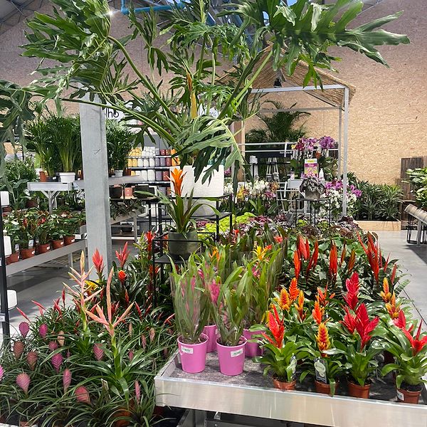 FINAL RESULT OF THE GARDEN CENTER OFORNO