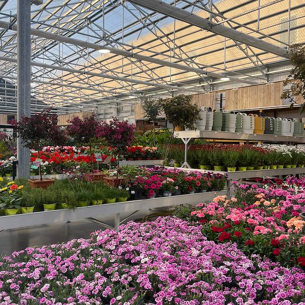 ENDGÜLTIGES ERGEBNIS DES GARTENZENTRUMS OFORNO