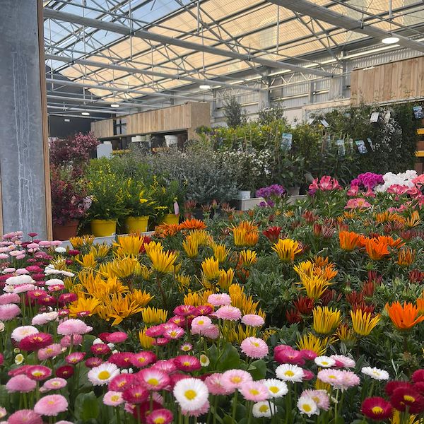 FINAL RESULT OF THE GARDEN CENTER OFORNO