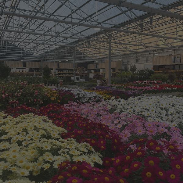 RISULTATO FINALE DEL GARDEN CENTER OFORNO