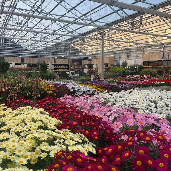 RÉSULTAT FINAL DE LA JARDINERIE OFORNO
