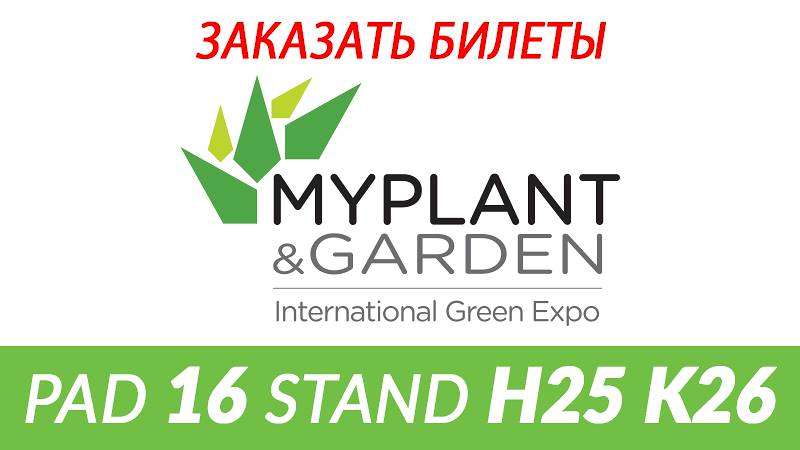 MYPLANT & GARDEN