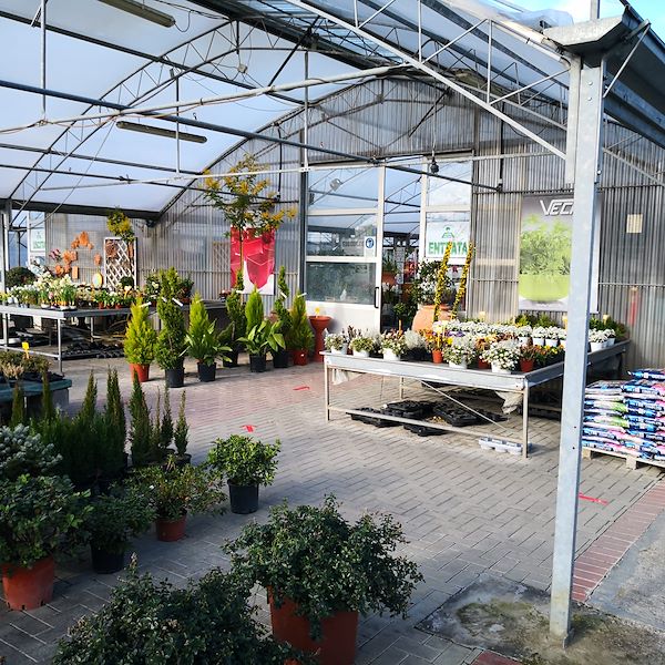 Garden Frediani vor der Neugestaltung