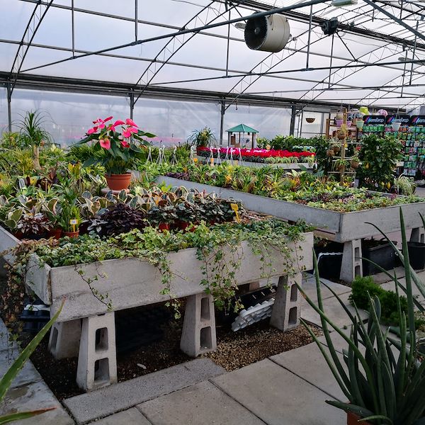 Garden Frediani vor der Neugestaltung