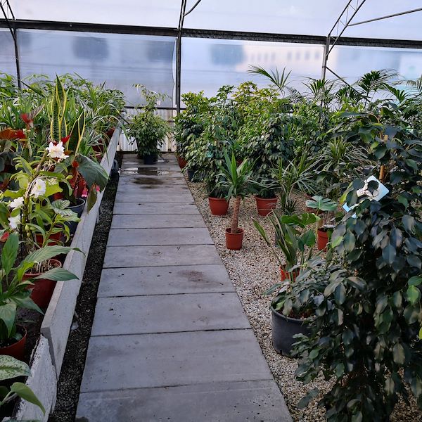 Garden Frediani vor der Neugestaltung