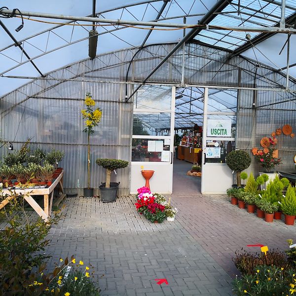 Garden Frediani before restyling