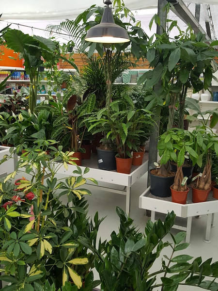 مع حلول أورلانديلي  Agri Garden è Natali  تم تجديد