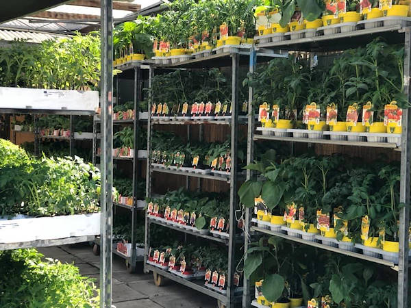 Agri Garden è Natali se renueva con soluciones Orlandelli