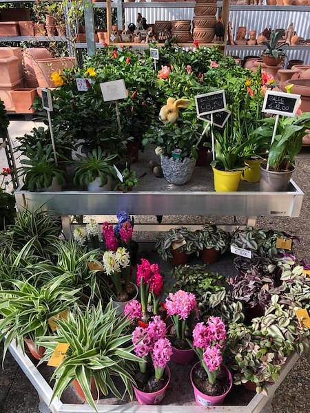 Agri Garden È Natali si rinnova con le soluzioni Orlandelli