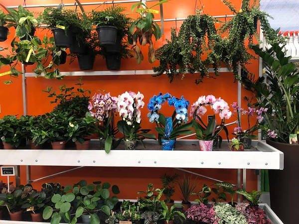 Agri Garden è Natali wird mit den Lösungen von Orlandelli renoviert