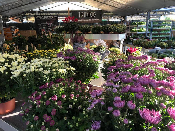 Agri Garden è Natali wird mit den Lösungen von Orlandelli renoviert