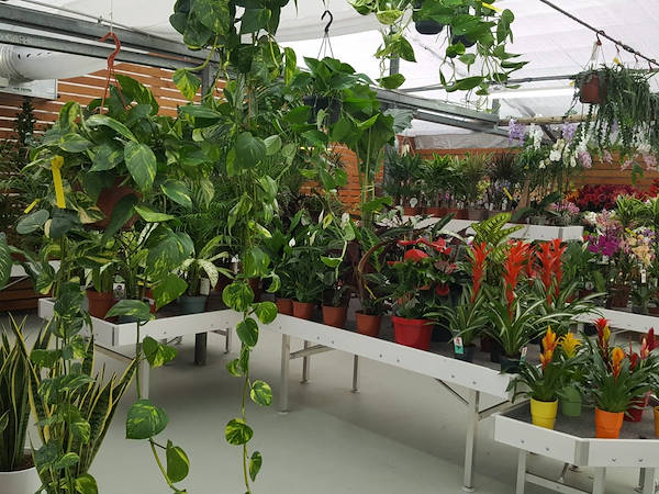 Agri Garden è Natali wird mit den Lösungen von Orlandelli renoviert