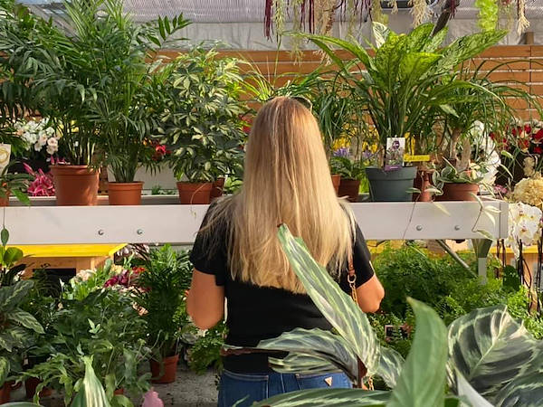 Agri Garden è Natali wird mit den Lösungen von Orlandelli renoviert