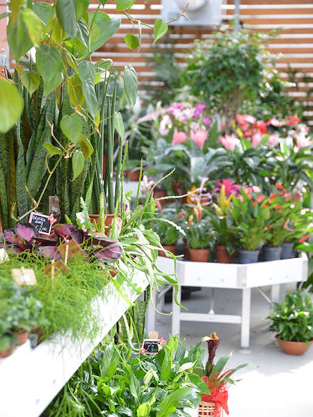 Agri Garden è Natali wird mit den Lösungen von Orlandelli renoviert