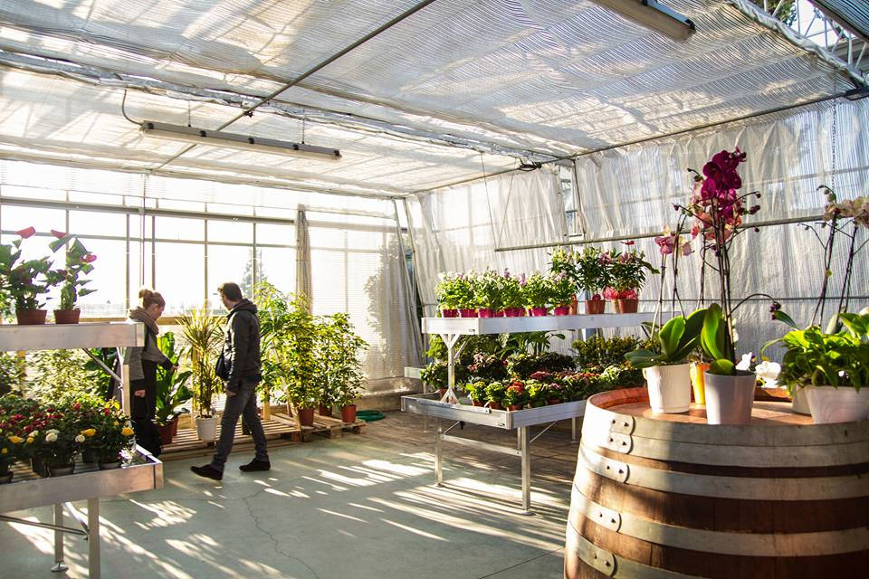 Agriflora: transformer une passion en travail