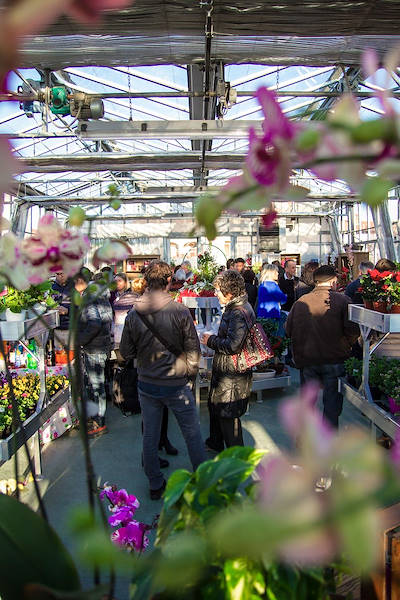 Agriflora: transformer une passion en travail